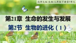 21.2.1《生命的进化》课件