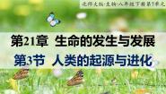 生物第七单元 生命的演化第21章  生命的发生和发展第3节  人类的起源与进化优秀ppt课件
