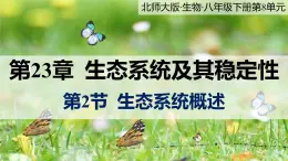 23.2《生态系统概述》课件