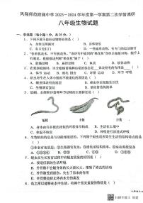 陕西省宝鸡市凤翔师范附属中学2023-2024学年八年级上学期第二次月考生物试题