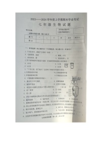 黑龙江省齐齐哈尔市依安县等4地2023-2024学年七年级上学期12月期末生物试题