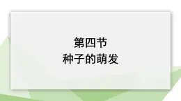 1.4 种子的萌发 课件 2023-2024学年初中生物济南版八年级上册