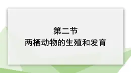 2.2 两栖动物的生殖和发育 课件 2023-2024学年初中生物济南版八年级上册