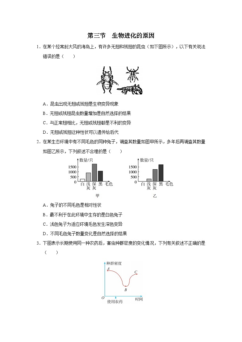 人教版八下生物 7.3.3 生物进化的原因 课件+教案+分层练习+导学案01
