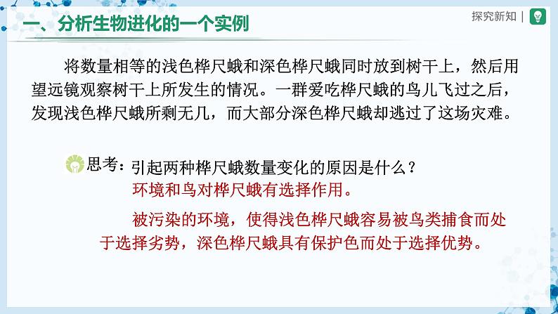 人教版八下生物 7.3.3 生物进化的原因 课件+教案+分层练习+导学案04
