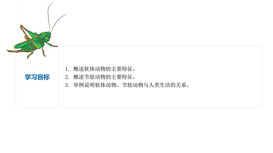 2023-2024學(xué)年八年級(jí)生物上冊(cè)同步備課系列(人教版)5.1.3 軟體動(dòng)物和節(jié)肢動(dòng)物(教學(xué)課件)第2頁(yè)