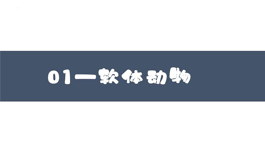 2023-2024學(xué)年八年級(jí)生物上冊(cè)同步備課系列(人教版)5.1.3 軟體動(dòng)物和節(jié)肢動(dòng)物(教學(xué)課件)第3頁(yè)