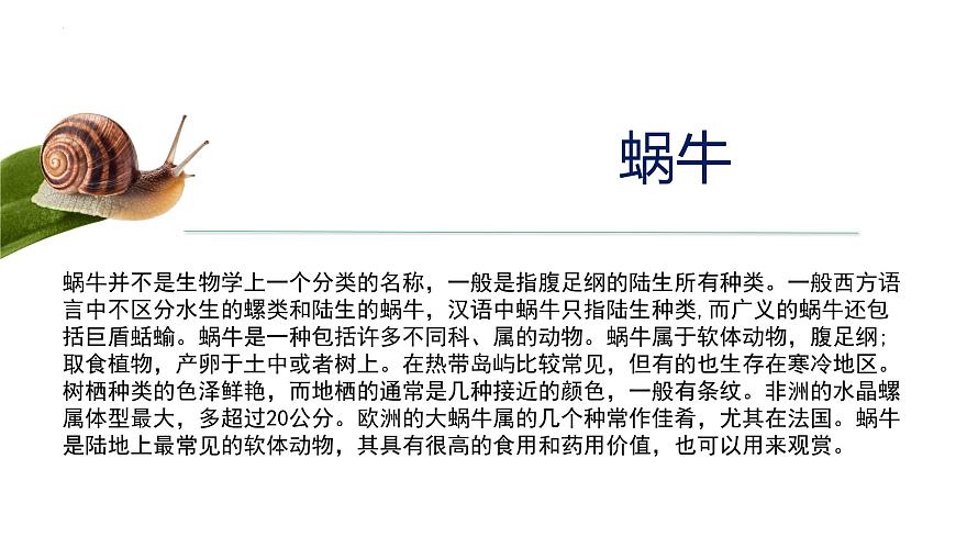 2023-2024學(xué)年八年級(jí)生物上冊(cè)同步備課系列(人教版)5.1.3 軟體動(dòng)物和節(jié)肢動(dòng)物(教學(xué)課件)第5頁(yè)