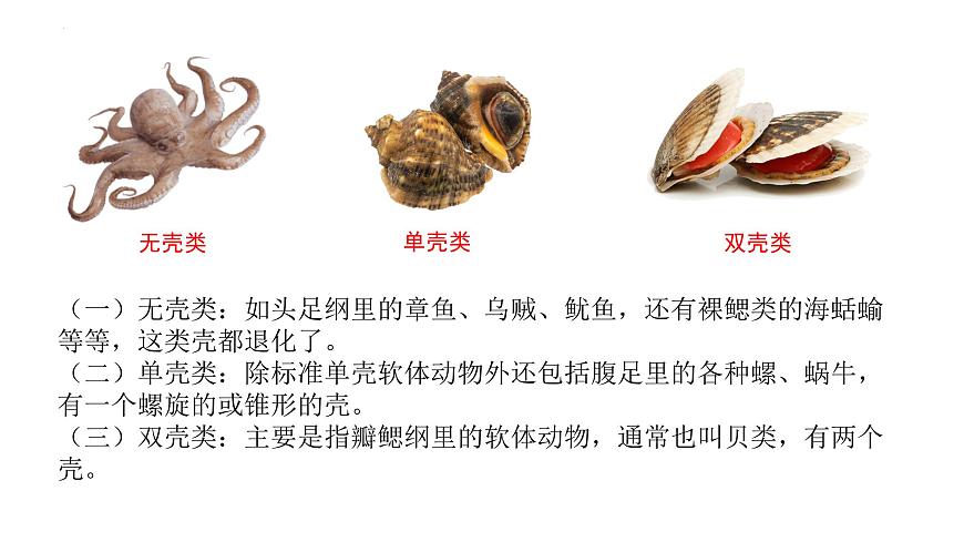 2023-2024學(xué)年八年級(jí)生物上冊(cè)同步備課系列(人教版)5.1.3 軟體動(dòng)物和節(jié)肢動(dòng)物(教學(xué)課件)第8頁(yè)