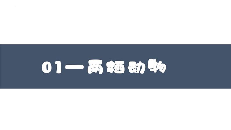 2023-2024学年八年级生物上册同步备课系列(人教版)5.1.5两栖动物和爬行动物(教学课件)第3页
