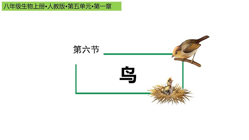 2023-2024学年八年级生物上册同步备课系列(人教版)5.1.6 鸟(教学课件)第1页
