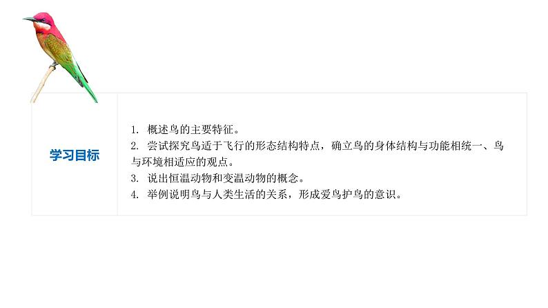 2023-2024学年八年级生物上册同步备课系列(人教版)5.1.6 鸟(教学课件)第2页