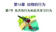 生物八年级上册第五单元  生物圈中的动物和微生物第16章  动物的行为第1节  先天性行为和后天学习行为备课ppt课件