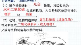 北师大版八年级上册第2节  我国的动物资源及保护备课课件ppt