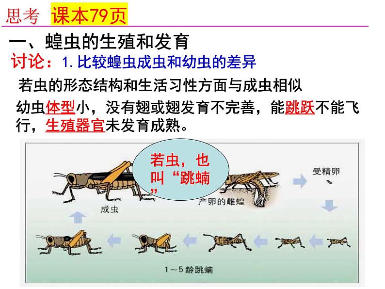 2023-2024学年八年级生物(北师大版)上册同步备课优质课件 19.2.1 动物的生殖和发育第4页