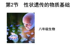 北师大版八年级上册第2节  性状遗传的物质基础备课ppt课件