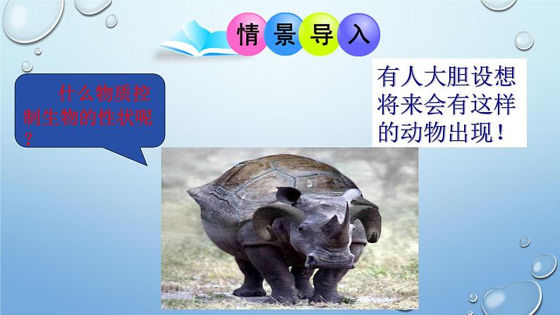2023-2024学年八年级生物(北师大版)上册同步优质课件 第二十章第二节 性状遗传的物质基础第1页