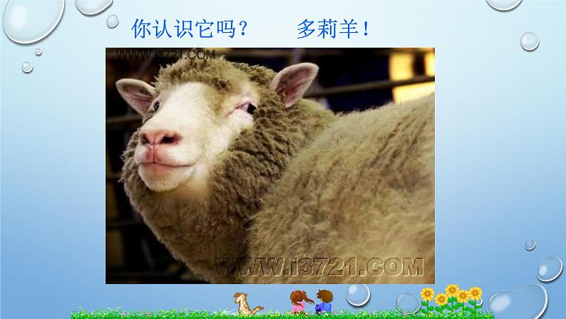 2023-2024学年八年级生物(北师大版)上册同步优质课件 第二十章第二节 性状遗传的物质基础第4页