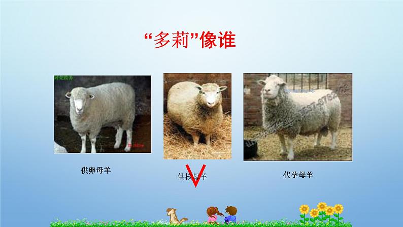 2023-2024学年八年级生物(北师大版)上册同步优质课件 第二十章第二节 性状遗传的物质基础第6页