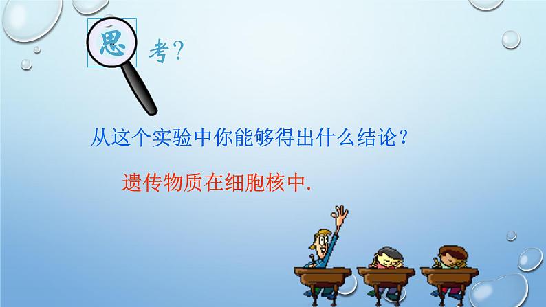 2023-2024学年八年级生物(北师大版)上册同步优质课件 第二十章第二节 性状遗传的物质基础第7页