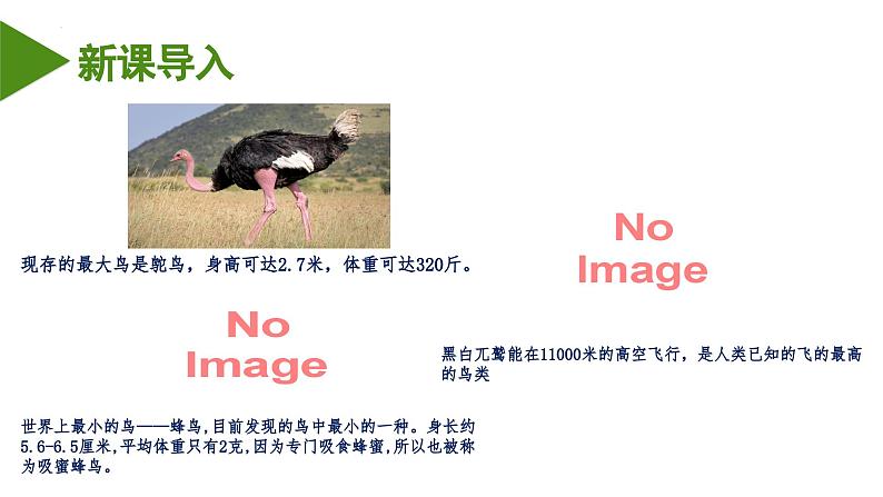 2023-2024学年八年级生物(人教版)上册同步备课系列 5.1.6 鸟(教学课件)第3页
