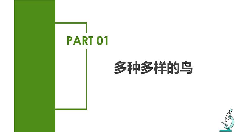 2023-2024学年八年级生物(人教版)上册同步备课系列 5.1.6 鸟(教学课件)第4页