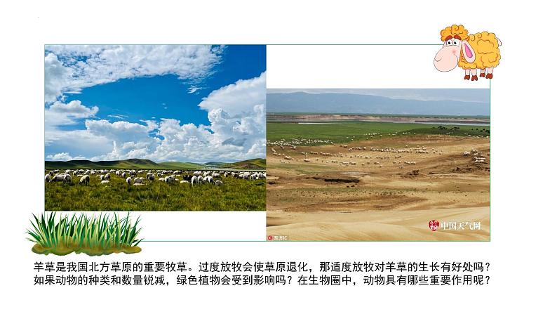 2023-2024学年八年级生物(人教版)上册同步备课系列 5.3 动物在生物圈中的作用(教学课件)第4页