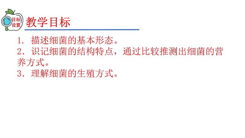 2023-2024学年八年级生物(人教版)上册同步精品课件 5.4.2 细菌02