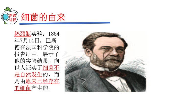 2023-2024学年八年级生物(人教版)上册同步精品课件 5.4.2 细菌05