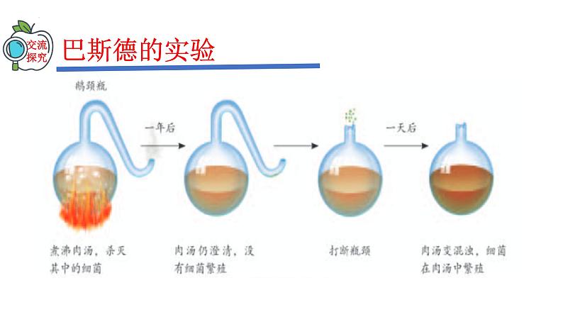 2023-2024学年八年级生物(人教版)上册同步精品课件 5.4.2 细菌06
