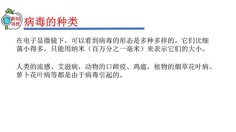 2023-2024学年八年级生物(人教版)上册同步精品课件 5.5 病毒06