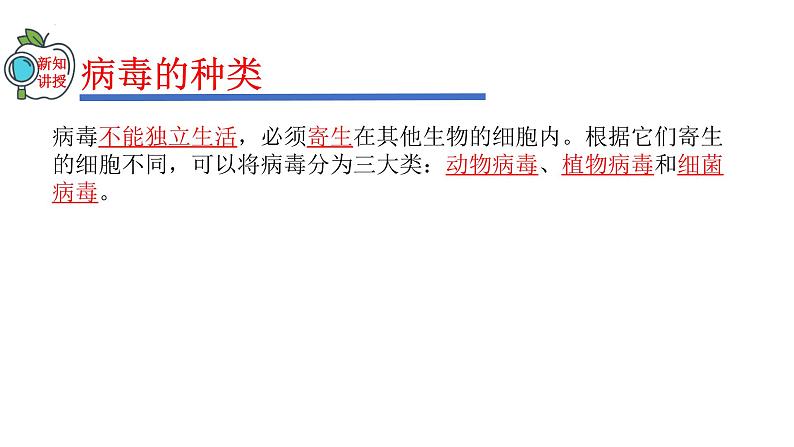 2023-2024学年八年级生物(人教版)上册同步精品课件 5.5 病毒07