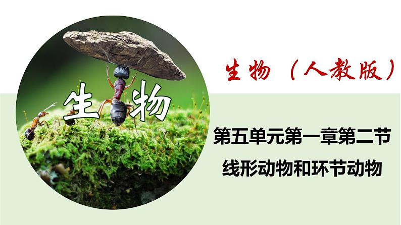 2023-2024学年八年级生物(人教版)上册同步课堂 5.1.2 线形动物和环节动物(课件)第1页