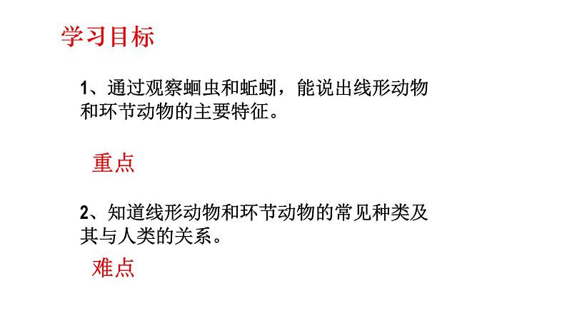 2023-2024学年八年级生物(人教版)上册同步课堂 5.1.2 线形动物和环节动物(课件)第2页