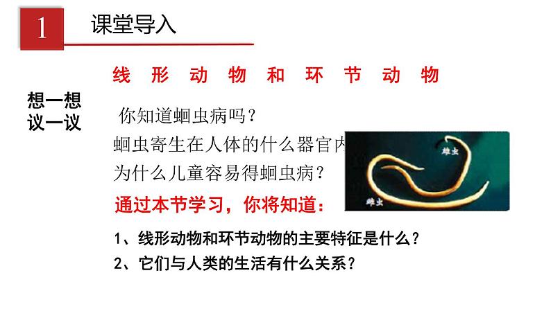 2023-2024学年八年级生物(人教版)上册同步课堂 5.1.2 线形动物和环节动物(课件)第3页