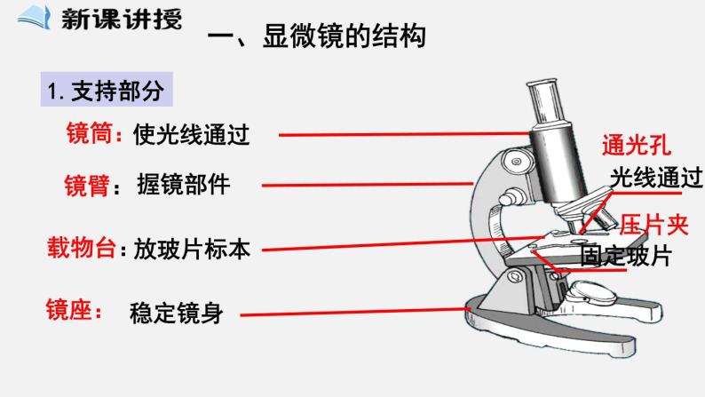 2023-2024学年七年级生物（北师大版）上册备课无忧 2.3.1 细胞的基本结构和功能——显微镜（课件）02