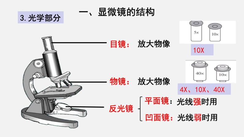 2023-2024学年七年级生物（北师大版）上册备课无忧 2.3.1 细胞的基本结构和功能——显微镜（课件）04