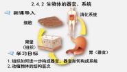 北师大版七年级上册第2节 生物体的器官、系统备课课件ppt
