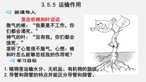 北师大版七年级上册第5节  运输作用备课ppt课件