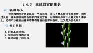 初中北师大版第3节  生殖器官的生长备课ppt课件