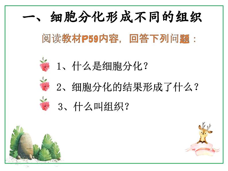 2023-2024学年七年级生物(人教版)上册名师精讲课件 2.2.2 动物体的结构层次06