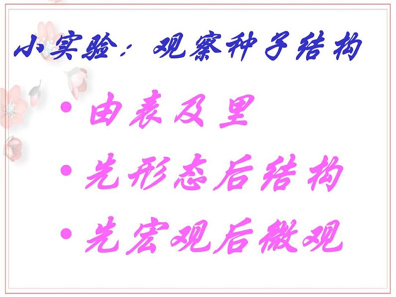 2023-2024学年七年级生物(人教版)上册名师精讲课件 3.1.2 种子植物07