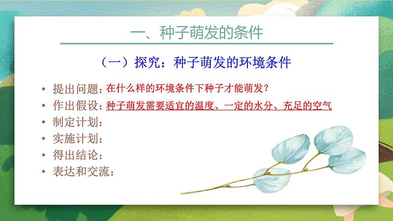 2023-2024学年七年级生物(人教版)上册名师精讲课件 3.2.1 种子的萌发04