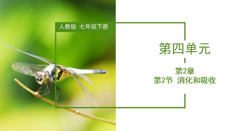 2023-2024学年七年级生物（人教版）下册同步备课系列 4.2.2 消化和吸收（教学课件）01