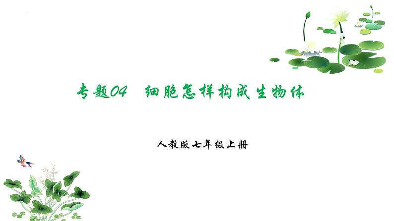 专题04 细胞怎样构成生物体(考点串讲PPT)- 2023-2024学年七年级生物上学期期末考点大串讲(人教版)第1页