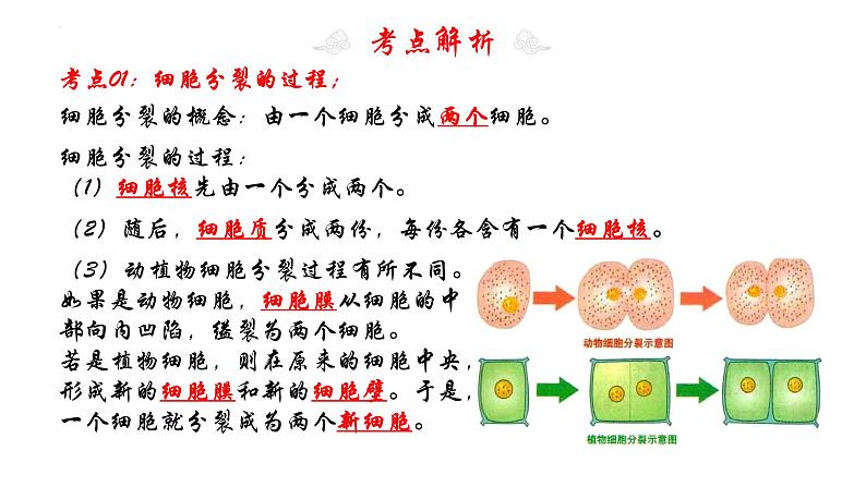 专题04 细胞怎样构成生物体(考点串讲PPT)- 2023-2024学年七年级生物上学期期末考点大串讲(人教版)第5页