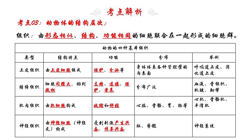 专题04 细胞怎样构成生物体(考点串讲PPT)- 2023-2024学年七年级生物上学期期末考点大串讲(人教版)第8页
