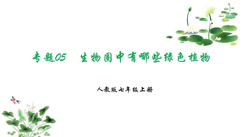 专题05 生物圈中有哪些绿色植物(知识清单+考点串讲+考题猜想)- 2023-2024学年七年级生物上学期期末考点大串讲(人教版)01