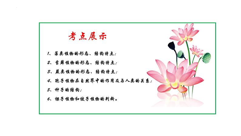 专题05 生物圈中有哪些绿色植物(知识清单+考点串讲+考题猜想)- 2023-2024学年七年级生物上学期期末考点大串讲(人教版)03