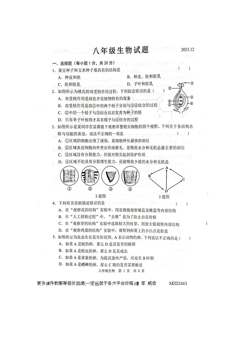 山东省菏泽市鲁西新区2023-2024学年八年级上学期12月月考生物试题01